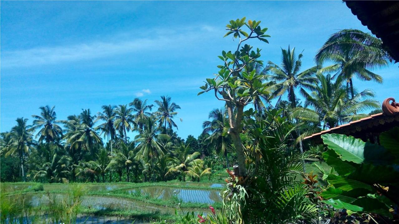 Villa Neyang Ubud Exterior foto